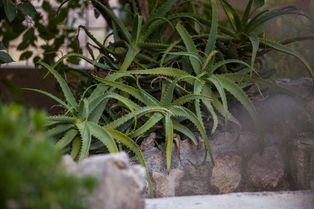 וויס Apartments Pol Murvu מראה חיצוני תמונה